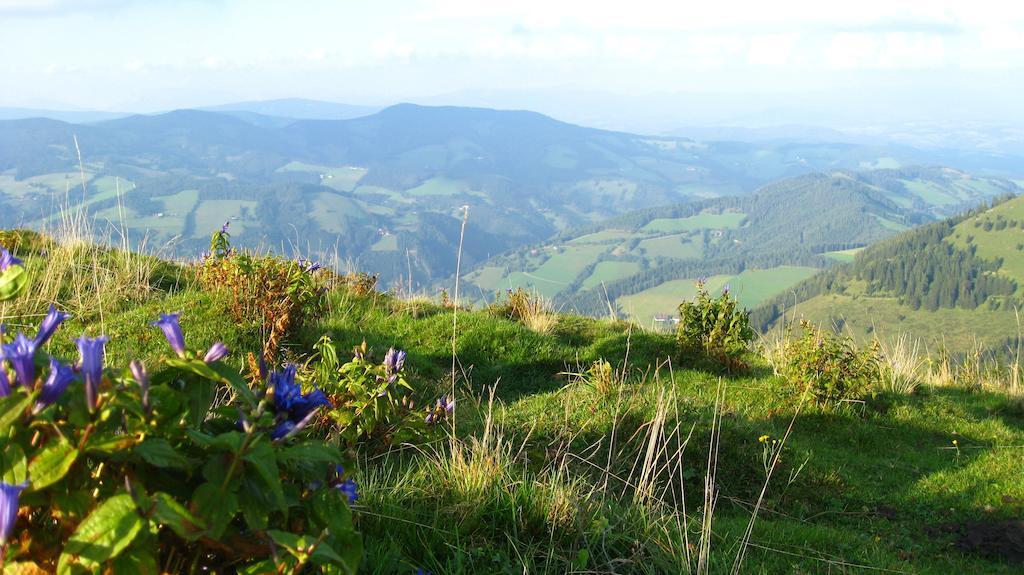 Gasthof Unterberger Sankt Kathrein am Offenegg Bagian luar foto