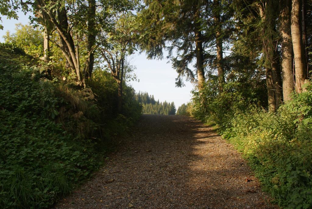 Gasthof Unterberger Sankt Kathrein am Offenegg Bagian luar foto